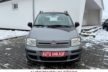 Fiat Panda Gebrauchtwagen