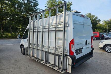 Fiat Ducato Gebrauchtwagen