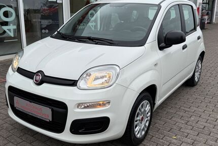 Fiat Panda Gebrauchtwagen