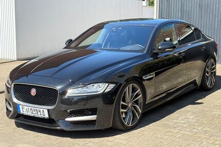 Jaguar XF Gebrauchtwagen