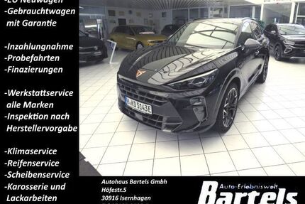Cupra Terramar Gebrauchtwagen