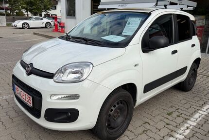 Fiat Panda Gebrauchtwagen