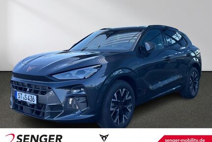 Cupra Terramar Gebrauchtwagen