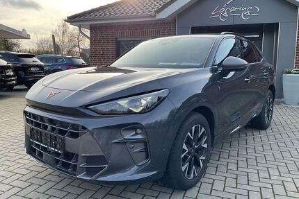 Cupra Terramar Gebrauchtwagen