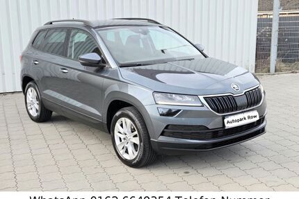 Skoda Karoq Gebrauchtwagen