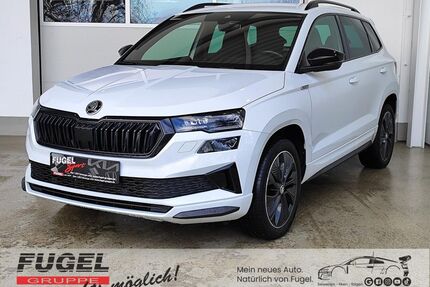 Skoda Karoq Gebrauchtwagen