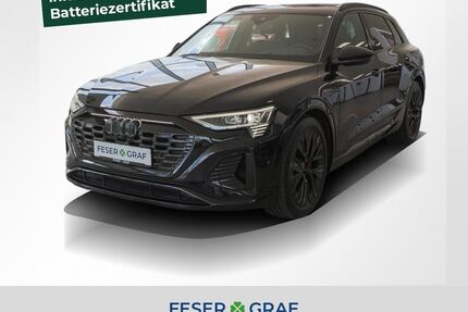 Audi Q8 e-tron Gebrauchtwagen