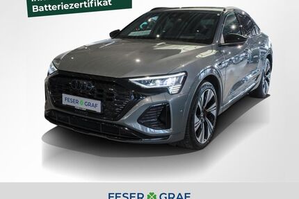 Audi Q8 e-tron Gebrauchtwagen