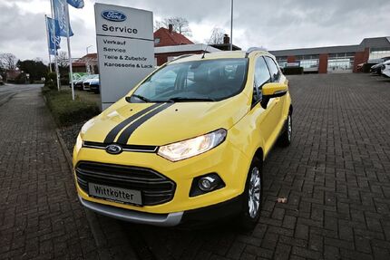Ford EcoSport Gebrauchtwagen