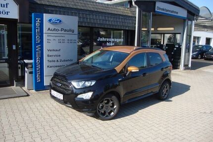 Ford EcoSport Gebrauchtwagen
