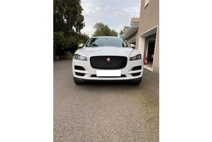 Jaguar F-Pace Gebrauchtwagen