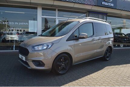 Ford Tourneo Courier Gebrauchtwagen