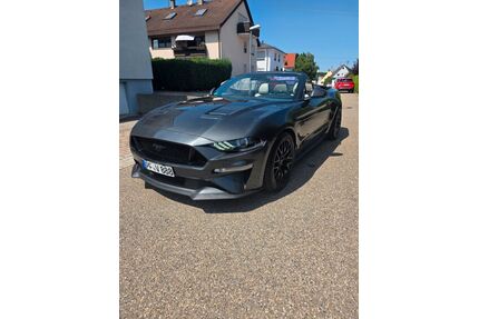 Ford Mustang Gebrauchtwagen