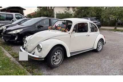 VW Käfer Gebrauchtwagen