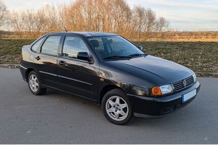 VW Polo Gebrauchtwagen