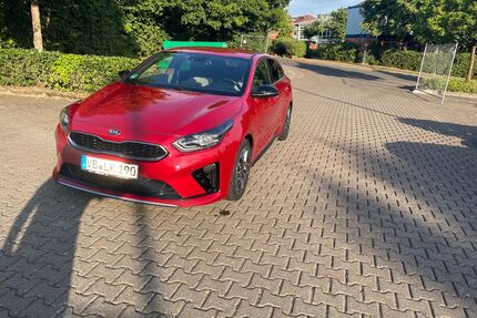 Kia pro ceed / ProCeed Gebrauchtwagen