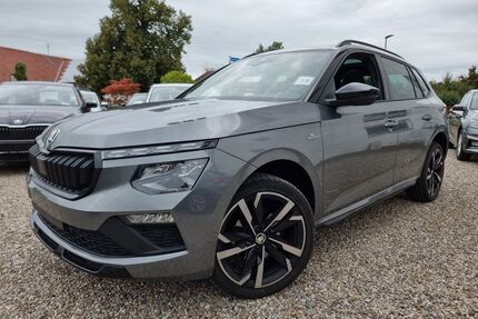 Skoda Kamiq Gebrauchtwagen