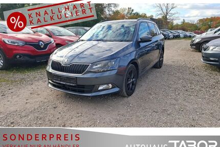Skoda Fabia Gebrauchtwagen