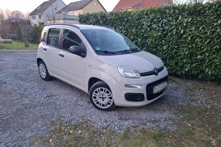 Fiat Panda Gebrauchtwagen