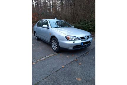 Nissan Primera Gebrauchtwagen