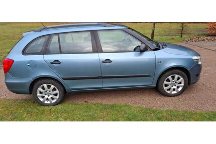 Skoda Fabia Gebrauchtwagen