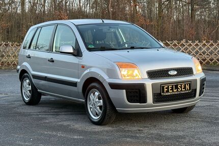 Ford Fusion Gebrauchtwagen