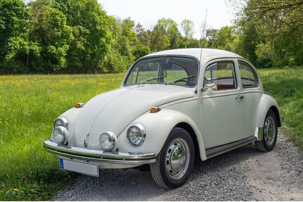 VW Käfer Gebrauchtwagen