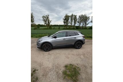 Opel Grandland (X) Gebrauchtwagen