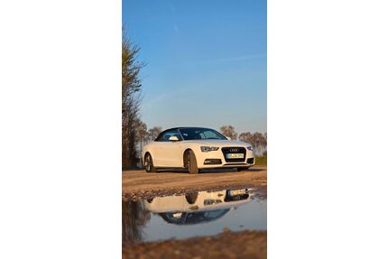 Audi A5 Gebrauchtwagen