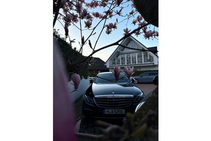 Mercedes-Benz E 220 Gebrauchtwagen