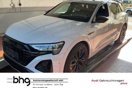 Audi Q8 e-tron Gebrauchtwagen