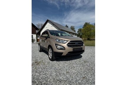 Ford EcoSport Gebrauchtwagen