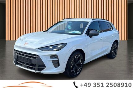 Cupra Terramar Gebrauchtwagen