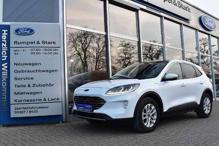 Ford Kuga Gebrauchtwagen