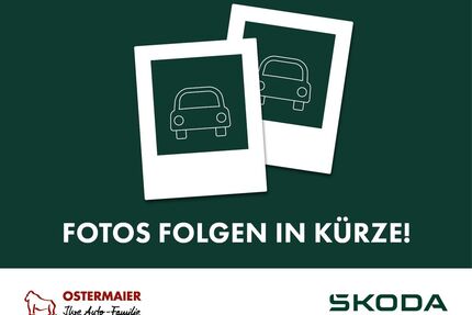 Skoda Scala Gebrauchtwagen