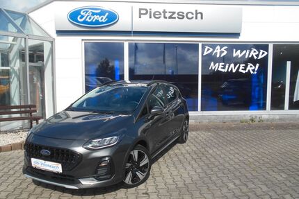 Ford Fiesta Gebrauchtwagen