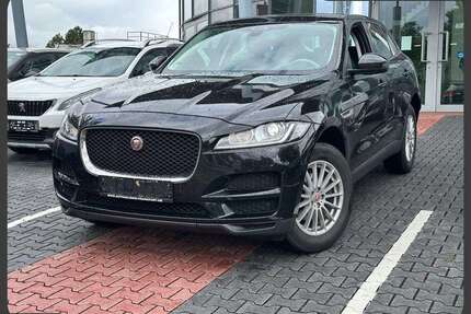 Jaguar F-Pace Gebrauchtwagen
