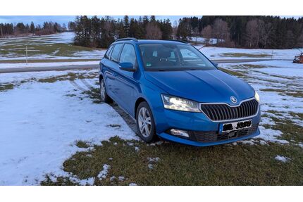 Skoda Fabia Gebrauchtwagen