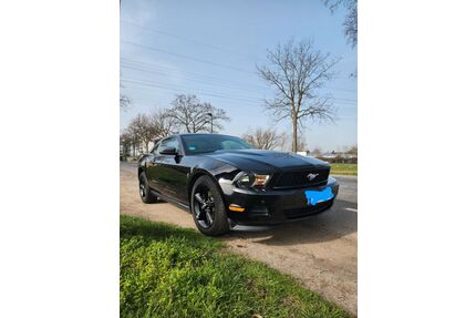 Ford Mustang Gebrauchtwagen