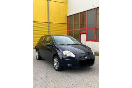 Fiat Punto Gebrauchtwagen