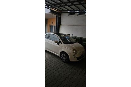 Fiat 500 Gebrauchtwagen