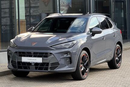 Cupra Terramar Gebrauchtwagen