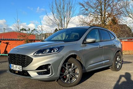 Ford Kuga Gebrauchtwagen