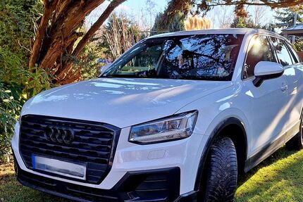 Audi Q2 Gebrauchtwagen