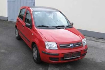 Fiat Panda Gebrauchtwagen