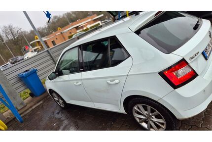 Skoda Fabia Gebrauchtwagen