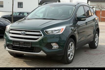 Ford Kuga Gebrauchtwagen