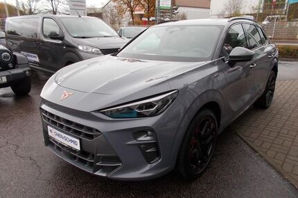 Cupra Terramar Gebrauchtwagen