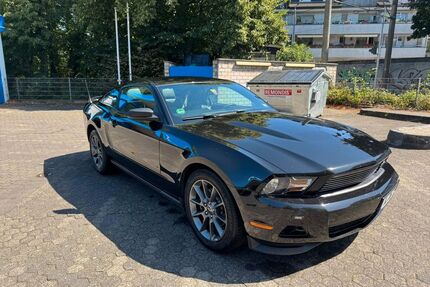 Ford Mustang Gebrauchtwagen