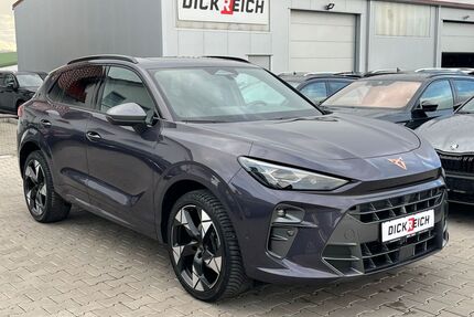 Cupra Terramar Gebrauchtwagen